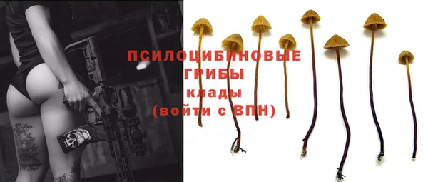 экстази Алексин