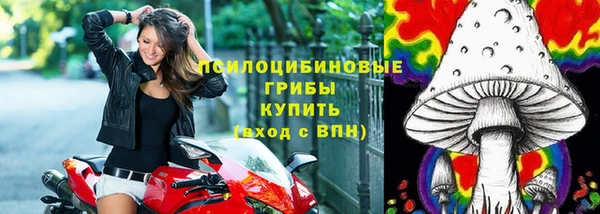 молекула духа Алзамай